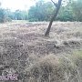В Керчи на месте будущей стройки в Приморском парке горела трава