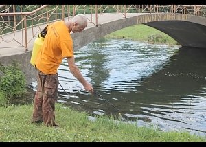 Власти Симферополя начали бороться с комарами