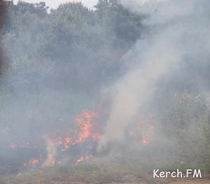 В Керчи по дороге в Приозерное горела сухая трава