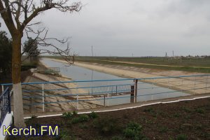 Крымчан призывают экономить воду