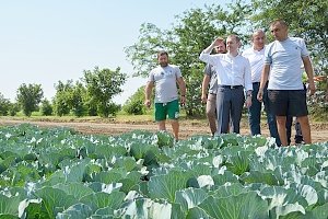 Константин Бахарев: Поддержка крупных сельхозпроизводителей – приоритет власти на ближайшие годы