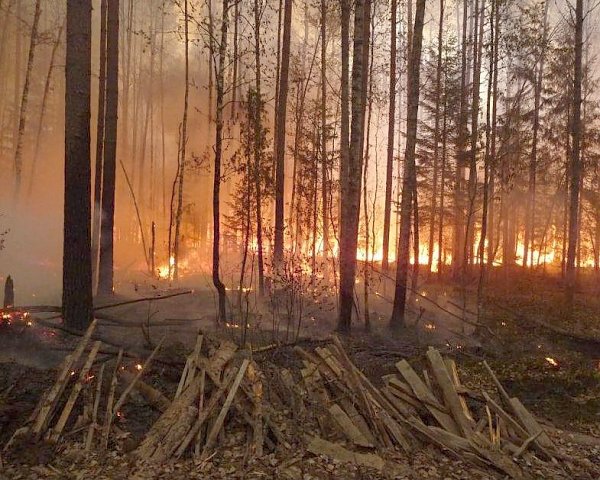 Аккаунт супруги красноярского губернатора удален после скандального поста на фоне неблагоприятных метеоусловий