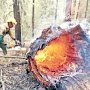Более 10 регионов России охвачены лесными пожарами