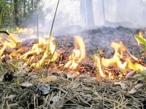 В Керчи до 26 июля сохранится высокая пожарная опасность