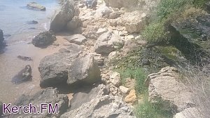 В керченской морской воде бактерии, вызывающую холеру не обнаружено, — главврач