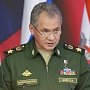 РФ и Иран проведут военные учения — Шойгу