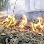 В Крыму пожарная опасность сохранится до пятницы