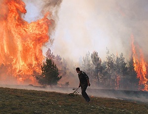 МЧС: пожар в Крымском заповеднике удалось локализовать