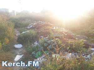 В Керчи в Аршинцево появилась новая свалка