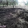 В Керчи в Приморском парке продолжает гореть трава