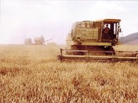 Минсельхоз Крыма продолжает реализацию программы развития сельских территорий