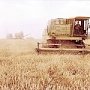 Минсельхоз Крыма продолжает реализацию программы развития сельских территорий