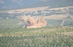 Бомбу на винограднике в Балаклаве успешно взорвали