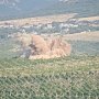 Бомбу на винограднике в Балаклаве успешно взорвали