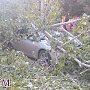 В Керчи дерево упало на автомобиль