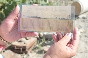 Саперы МЧС и поисковики обнаружили на виноградниках останки пятерых красноармейцев