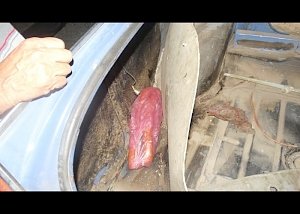 Украинец, ехавший в Крым, прятал составляющие бутербродов в крыльях авто
