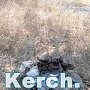 Керчан просят не жечь костры и убирать за собой в Приморском парке
