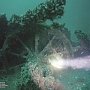 Черноморский центр подводных исследований проводит раскопки легендарного парохода «Веста»