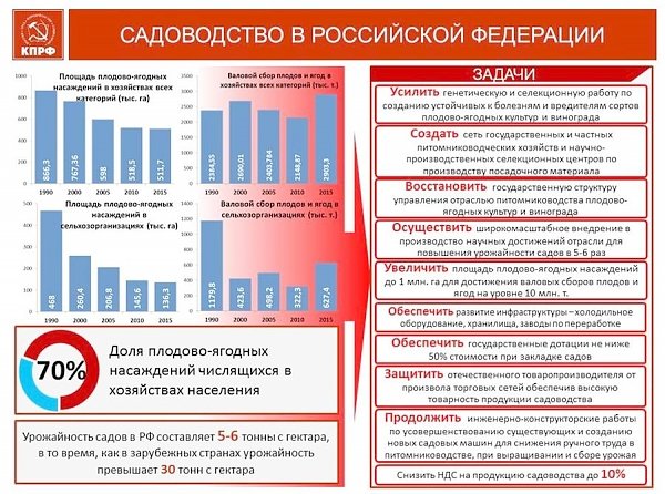 В.И. Кашин: На пути к импортозамещению