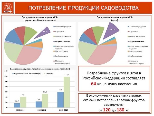 В.И. Кашин: На пути к импортозамещению