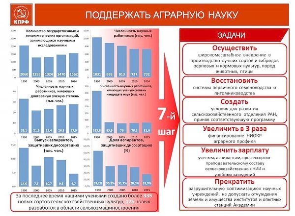 В.И. Кашин: На пути к импортозамещению