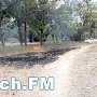 В Керчи в Приморском парке тушили пожар