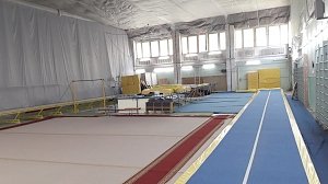Постоянные выставки оставили крымских гимнастов без спортзала
