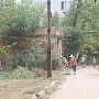 В Керчи в Аршинцево косят траву и ремонтируют пешеходную дорожку