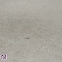 В Керчи пропала карусель с детской площадки