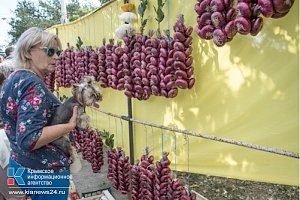 Под Алуштой стартовал фестиваль ялтинского лука — ФОТОРЕПОРТАЖ