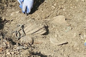 Пиротехники МЧС обнаружили на территории Мекензиевых гор останки красноармейца