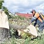 В Симферополе дорогу по улице Севастопольская расширят за счёт 190 деревьев