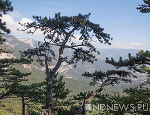 Кусочек бабьего лета: к выходным в Крыму потеплеет, однако ненадолго