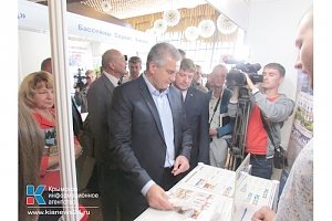 На форуме «Открытый Крым» собрались более 450 представителей туриндустрии и СМИ