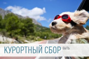 Курортный сбор в Крыму не должен стать обременением для туристов, — ростуризм