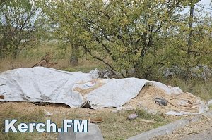 В Керчи на переправе не следят за дезбарьером, — читатель