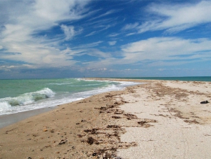 Учёные тревожатся о крымских пляжах, какие исчезают из-за добычи песка