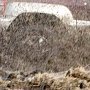 Автомобилисты в печали: зимой в Феодосии дороги будут посыпать «химией»