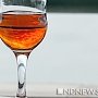 «Алкоголь в малых дозах безвреден в любом количестве»: в крымских санаториях могут легализовать крымские вина