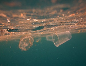 В Крыму запретят появляться с пластиком в природохранных зонах