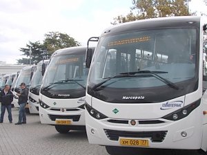 20 новых автобусов выходят на 14 маршрутов