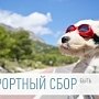 В Крыму считают, что курортный сбор для туристов должен быть в пределах 80 руб