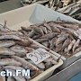 В Крыму рыбаки почти в два раза увеличили вылов барабули