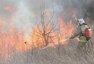 Вчера спасатели тушили возгорание травы в Щелкино