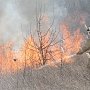 Вчера спасатели тушили возгорание травы в Щелкино