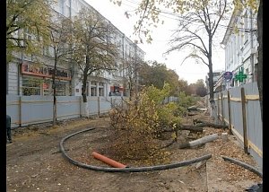 Грош цена обещаниям властей Симферополя: на ул. Пушкина пилят деревья