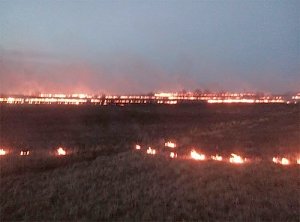 Под Керчью спасатели два часа тушили возгорание сухой травы