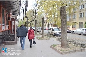 Деревья по улице Шполянской обрезали из-за веток, падавших на припаркованные машины