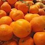 Не нужен нам берег турецкий – только апельсины: в Севастополь направляется груженный цитрусами паром